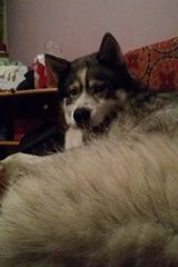 Benutzerfoto Pawell1324