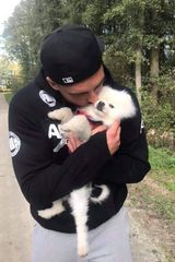 Zdjęcie użytkownika LisekPi