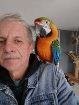 Фотография пользователя DarekSedkowski