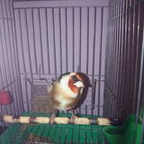 Zdjęcie użytkownika LazharTouban