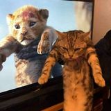 Foto pengguna Art409