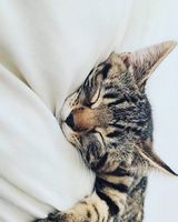 Foto utilizatorului RobertGlawdel