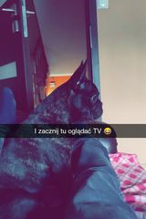 Фотография пользователя snuze98