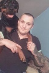 Foto utilizatorului KingAd