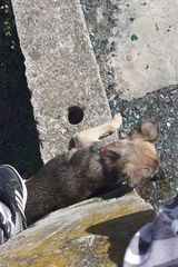Fotos KacperRetman