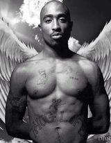 Fotka uživatele Lonelyboy