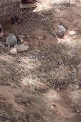 Zdjęcie użytkownika Boutaiba