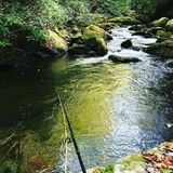 Foto pengguna NathanBates