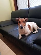 Photos KlewiczK