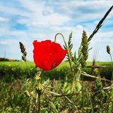 Fotos bensonjames593