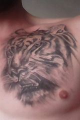 Photos MaciejPawlicki1982