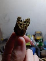 Benutzerfoto WIeszakMetalowy