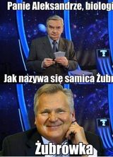 Foto utilizatorului Wersed