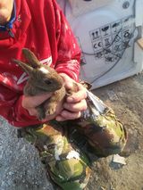 Фото користувача DanielSzatkowski1