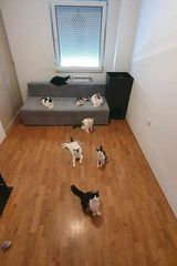 Zdjęcie użytkownika OraniA