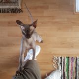 Benutzerfoto RafalTrojniak