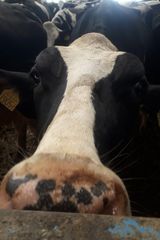 Fotos GrzegorzAdamczyk1