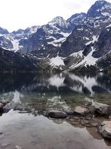 Benutzerfoto AdamDziekanski4