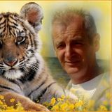 Benutzerfoto Wlodek14