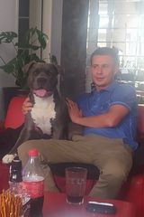 Фотография пользователя RafalLi