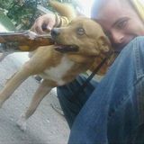 Foto pengguna DrozdT