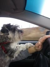 Фотография пользователя pawlowskidariusz07