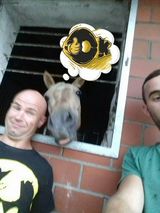 Foto utilizatorului AdrianTopa