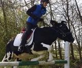 Benutzerfoto K1u3b1a3