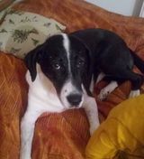 Zdjęcie użytkownika miroslavkr