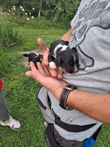 Foto utilizatorului Kuki021