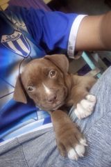 Benutzerfoto BrunoEs