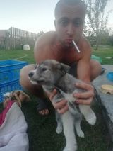 Foto utilizatorului Delmont