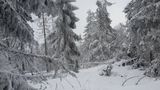 Foto pengguna Oregonn