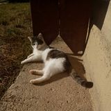 Benutzerfoto Rzvanconstantin