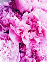 Фото користувача KarolinaES1985