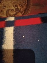 Zdjęcie użytkownika Vovka12345