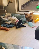 Photos RaymondCharles1965