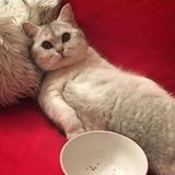 Benutzerfoto endriubp