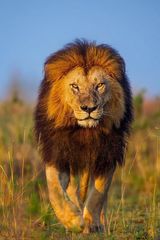 Фотография пользователя ufhbrkfhbcf1234