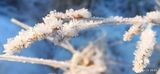 Photos Axiu74