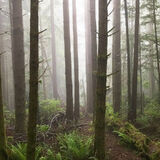 Zdjęcie użytkownika JerzyJan