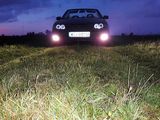 Фотография пользователя KocurDa