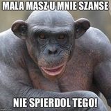 Zdjęcie użytkownika Leszekmakaron7719