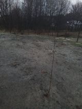 Foto pengguna Onwdkk555