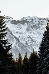 Benutzerfoto Romannt