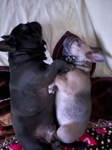 Benutzerfoto LucynaRe