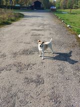 Zdjęcie użytkownika MalgorzataStelma83