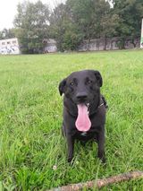 Фото користувача Jessinka