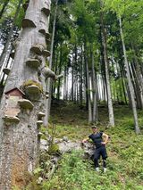 Zdjęcie użytkownika MaciekLa1986