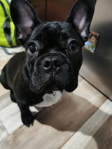 Foto pengguna Rafall1985